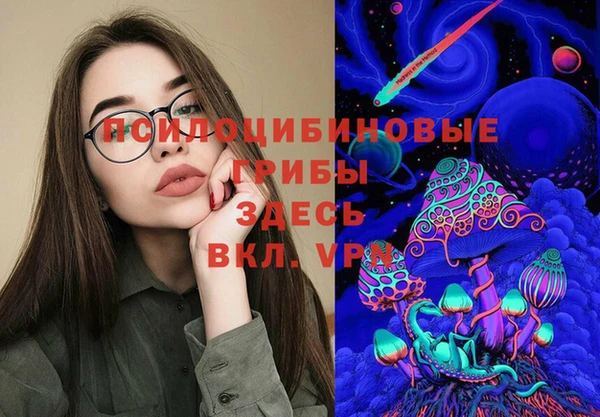 дживик Бердск