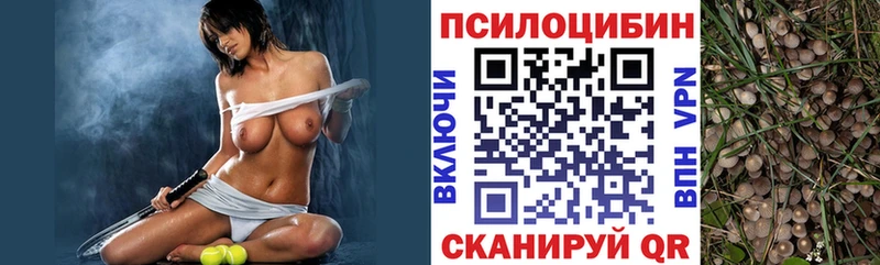 Галлюциногенные грибы мухоморы  купить  цена  Армянск 